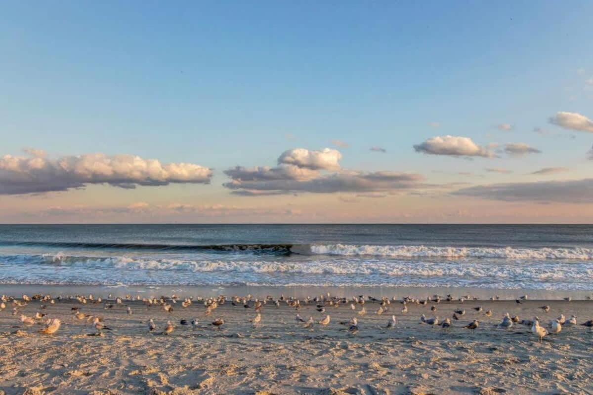 *Oceanfront Sun & Fun*Queen Beds*Pools*Hot Tubs*More*B118 Myrtle Beach Exterior photo